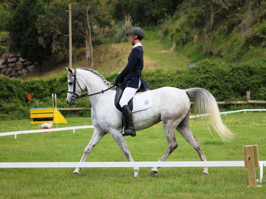 La finca El Canto de la Cruz, en Colmenar Viejo, es propiedad de la familia de Teresa Urquijo, esposa del alcalde de Madrid, José Luis Martínez-Almeida.
