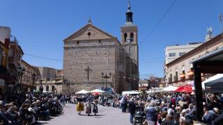 Imagen del desfile de la Fiesta del Olivo 2025.