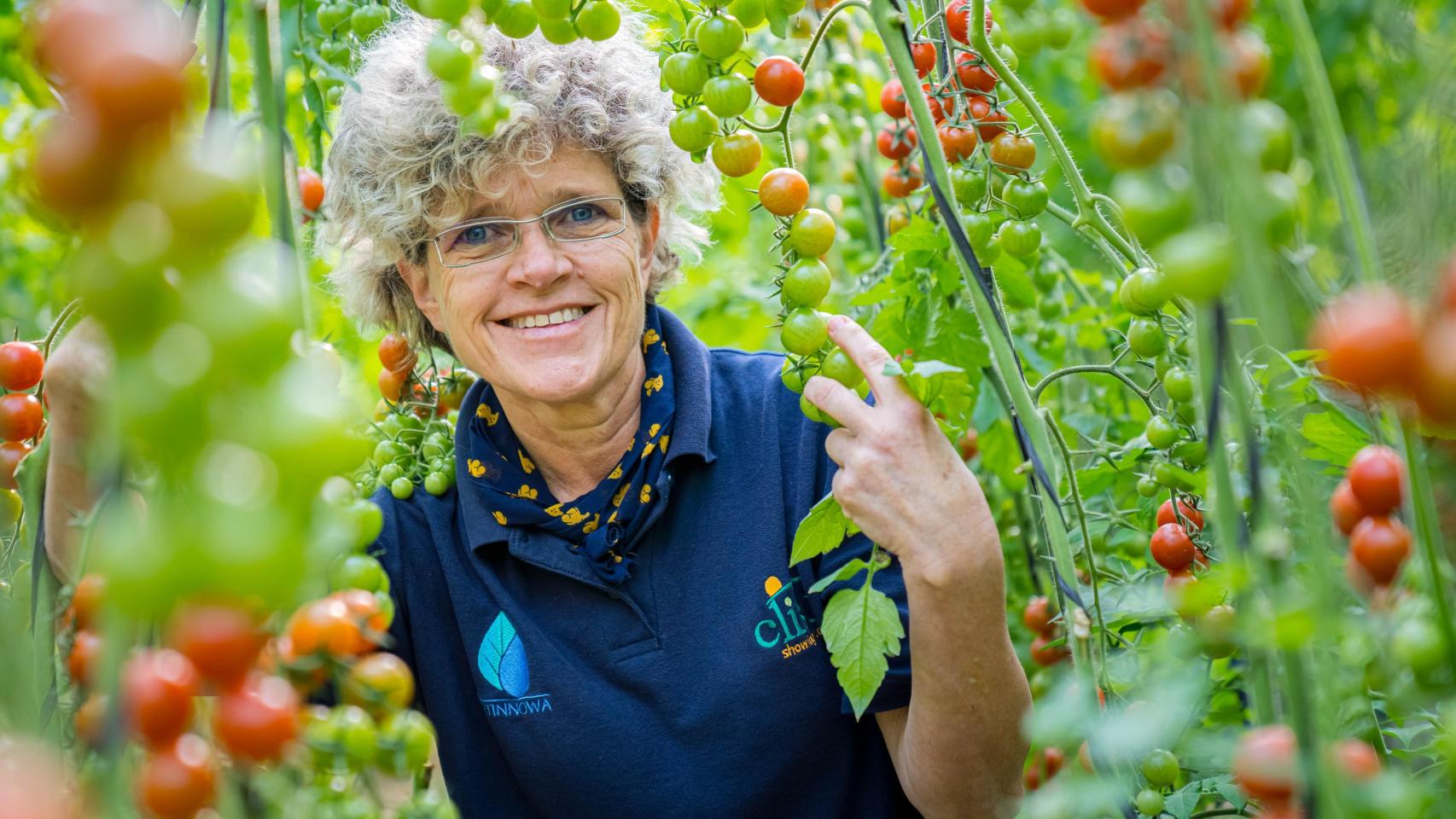 Lola Gómez, entre tomates, al frente de Clisol, en Almería.