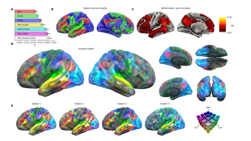 Diagrama de la estimulación de las áreas del cerebro dependiendo del contenido.