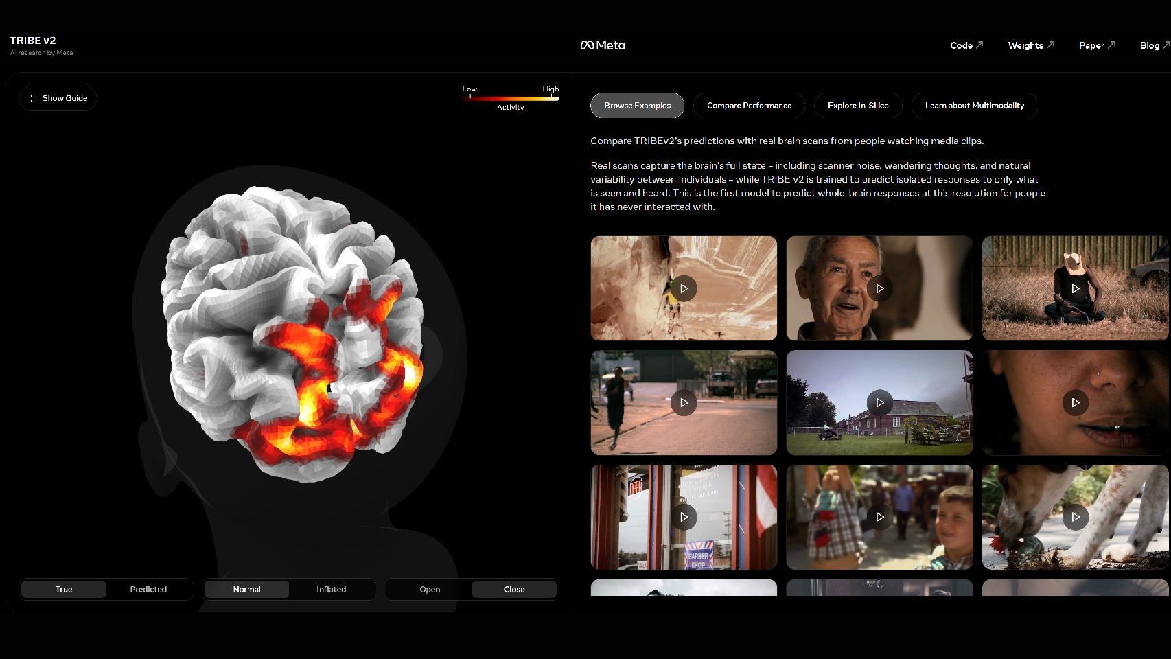 Demo del proyecto TRIBE v2.