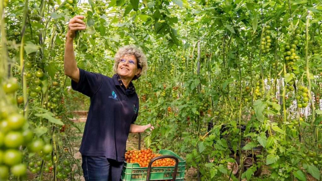 Lola Gómez con una cuantas cajas colmadas de tomates.