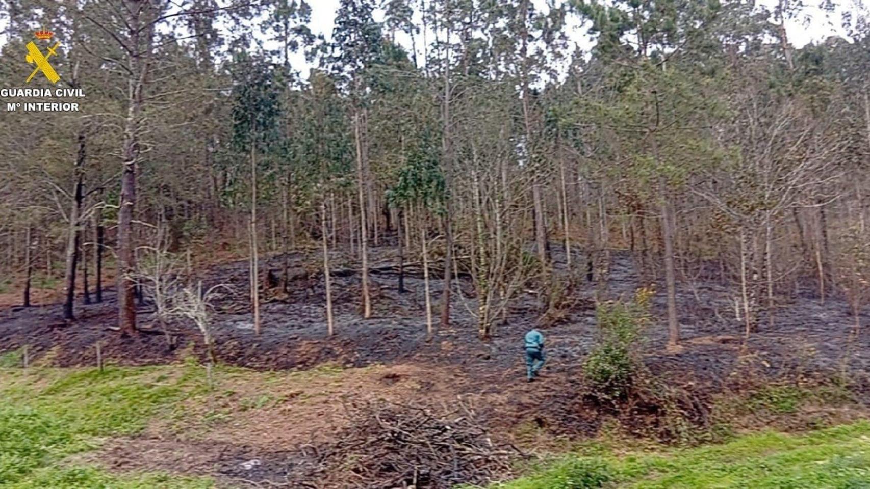 Incendio en Miño