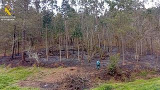 Incendio en Miño