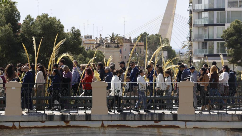 Cientos de personas portan palmas durante la procesión del Domingo de Ramos en Elche, Alicante. Efe / Pablo Miranzo