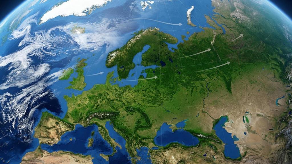 Cambia el 'cinturón verde' del planeta: la vegetación se desplaza y altera los ciclos de la biosfera