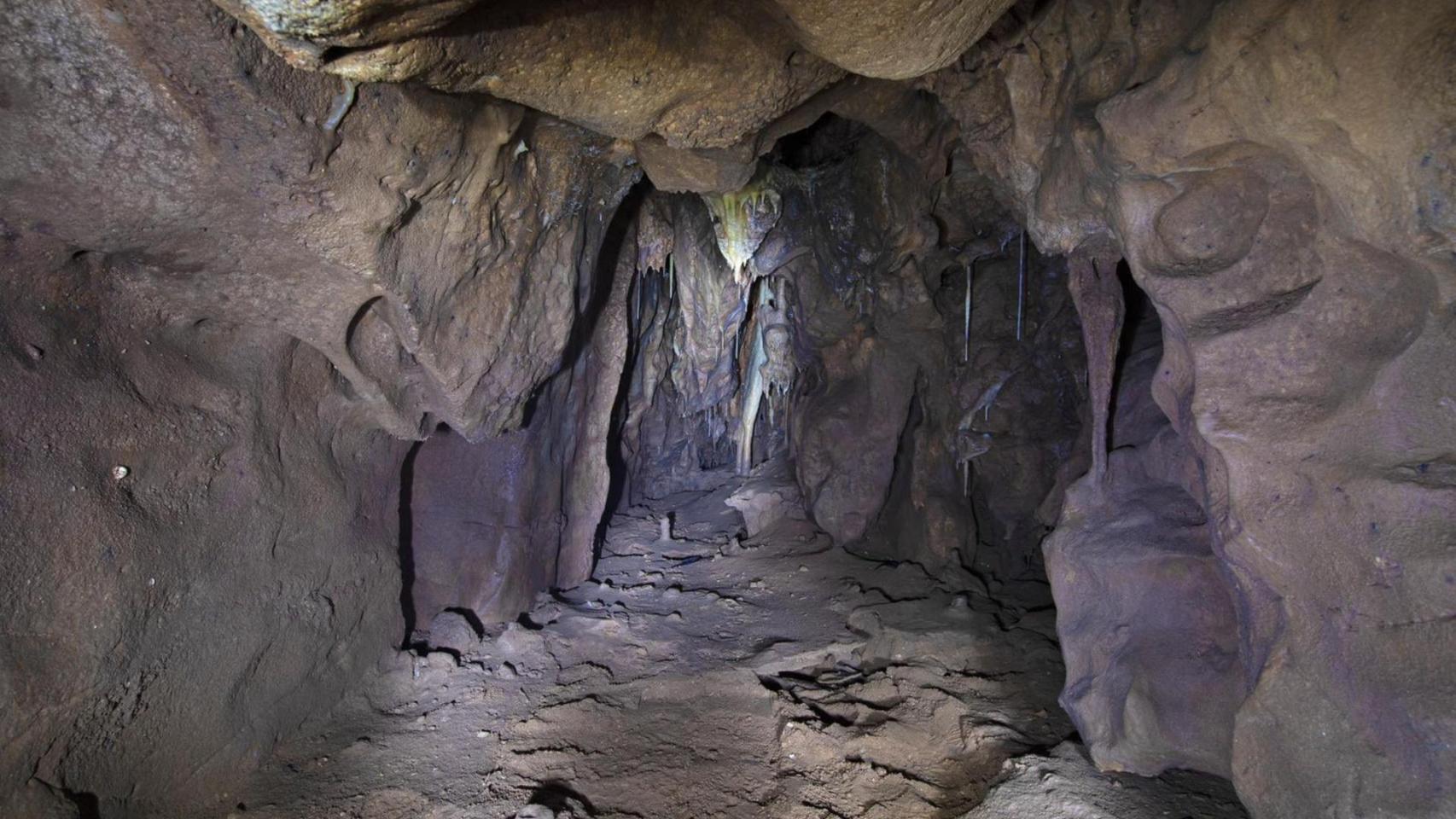 La cueva española Patrimonio de la Humanidad que oculta una cámara secreta de 40.000 años y los últimos neandertales