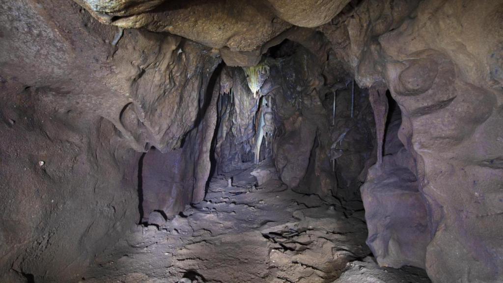 La cueva española Patrimonio de la Humanidad que oculta una cámara secreta de 40.000 años y los últimos neandertales