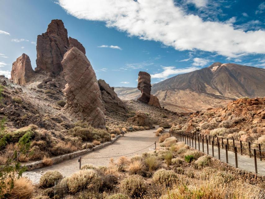 Una de las imágenes más famosas del Parque Nacional del Teide.