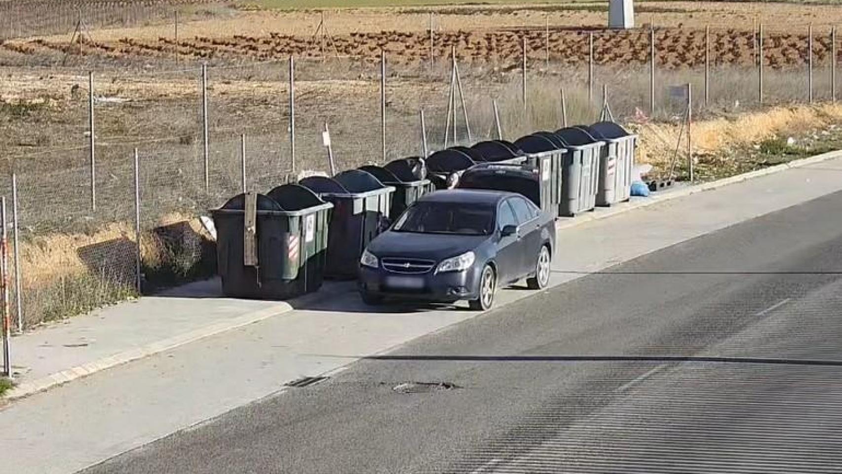 El momento en el que los cachorros son depositados en el contenedor.