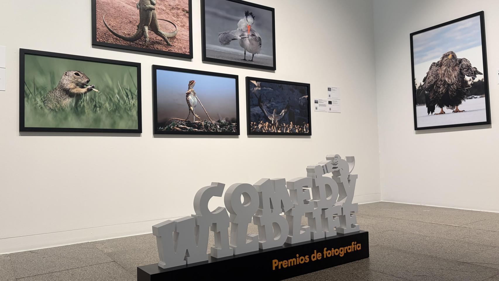 Imagen de la exposición.