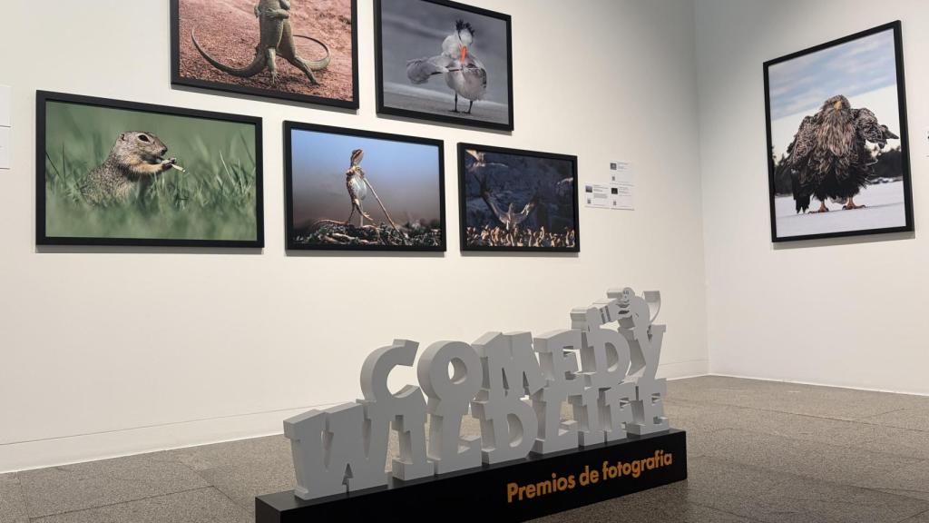 Imagen de la exposición.