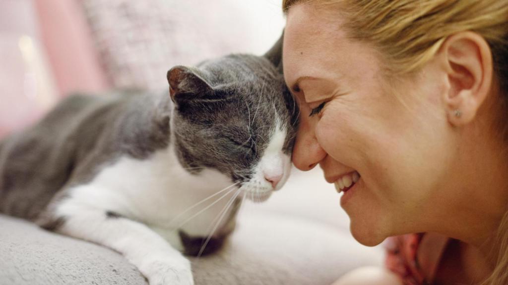 Un gato con una mujer.
