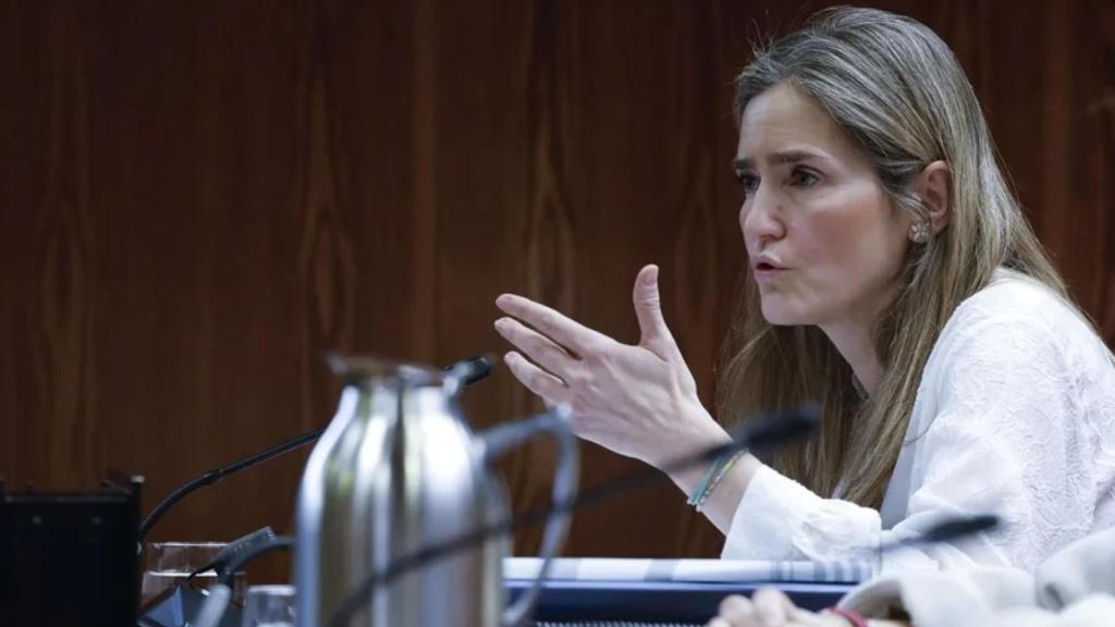 La vicepresidenta tercera del Gobierno y ministra para la Transición Ecológica, Sara Aagesen.