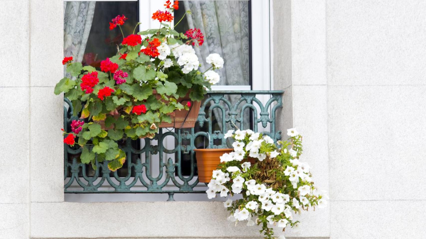 Una ventana decorada con plantas en su barandilla.