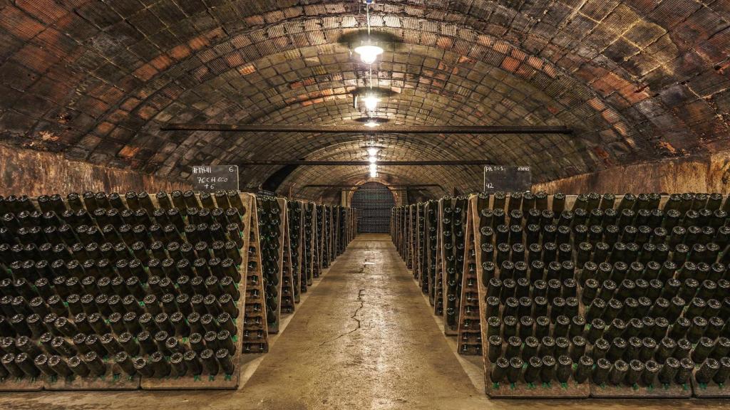 Botellero largas crianzas Juvé & Camps