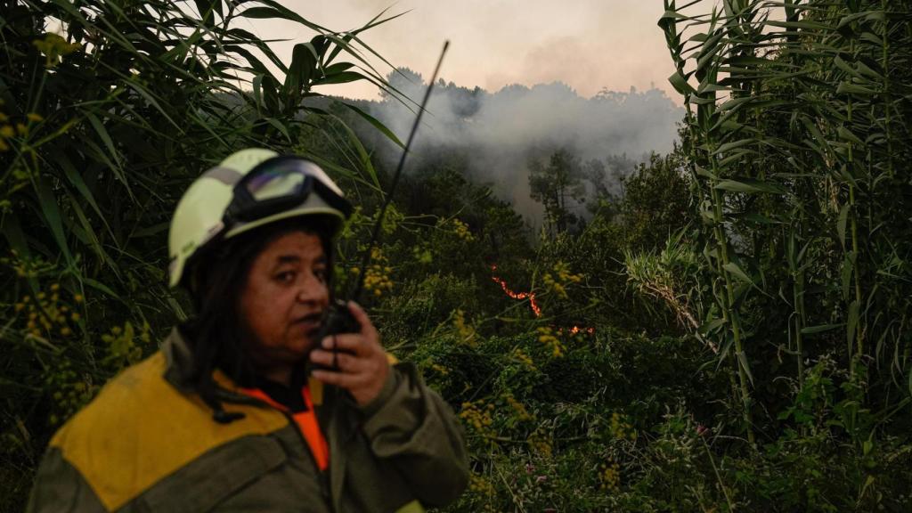 Una persona colabora en la extinción del fuego, a 29 de julio de 2025, en Arbo, Pontevedra, Galicia (España).