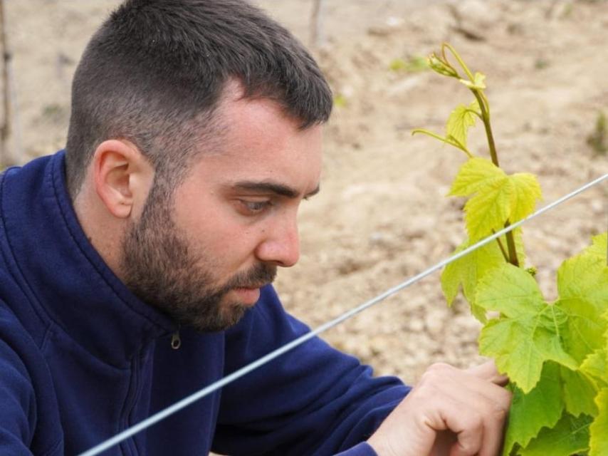 Eduard Martorell, actual gerente de la bodega De Muller.