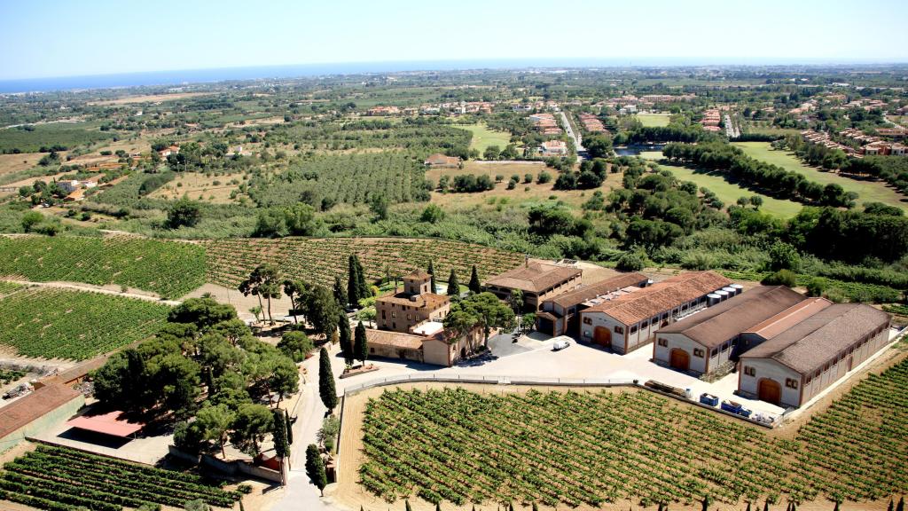 Vista aérea de la finca Mas de Valls y los viñedos de la bodega De Muller.