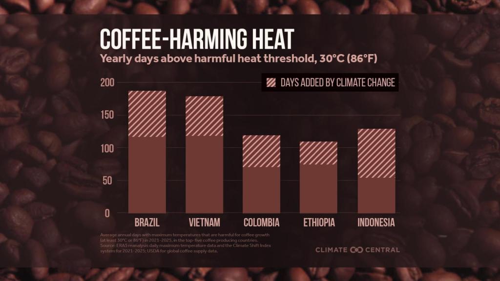 Infografía donde se muestra el incremento de días de calor en los principales países productores.