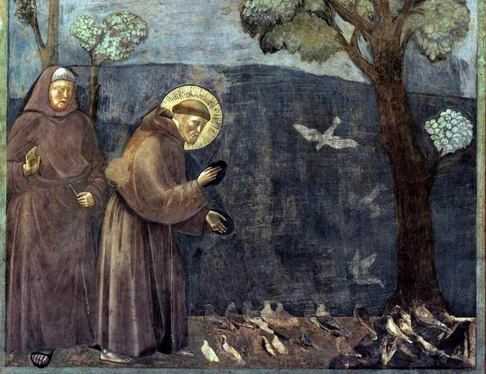 San Francisco dando un sermón a las aves. Fresco de Giotto en la basílica dedicada al santo en Asís (Italia)