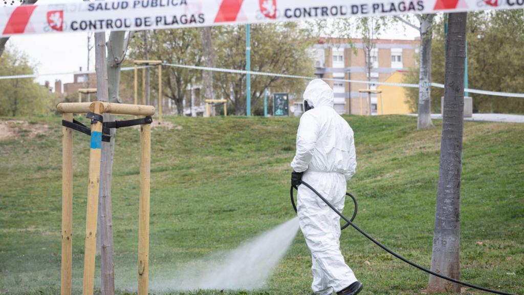 Tratamiento de prevención frente a la garrapata.