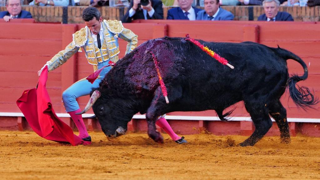 David de Miranda torea al primero de la tarde en la Maestranza de Sevilla.