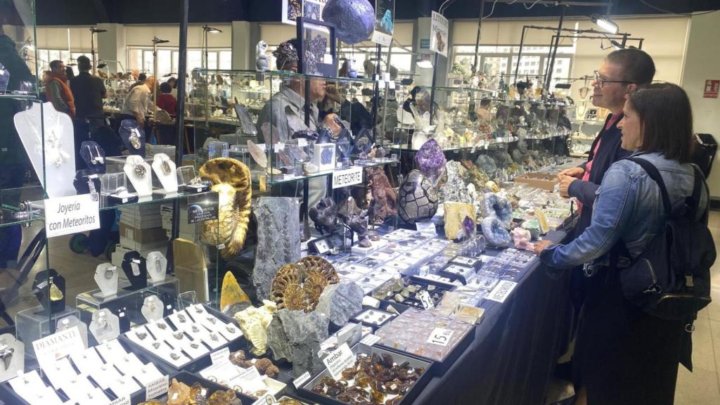 Minervigo regresa a Vigo con más de 17.000 piezas únicas, fósiles espectaculares y reliquias espaciales