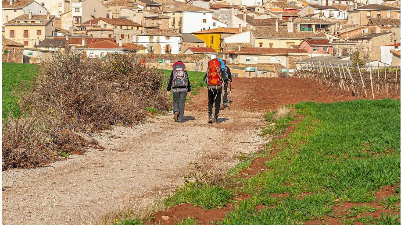 Imagen de peregrinos haciendo el Camino de Santiago.