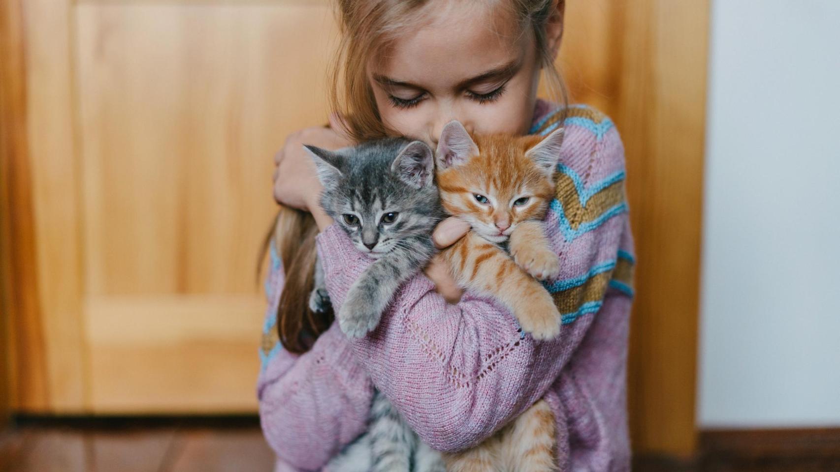 Dos gatitos con una niña.