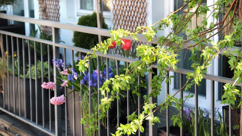 Balcón con plantas.