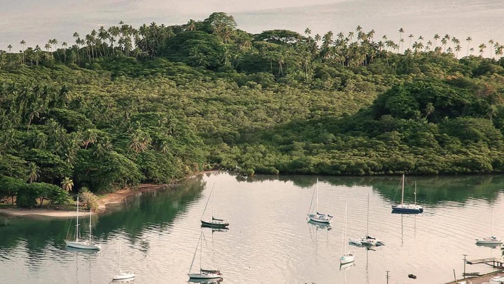 Cambio en el Pacífico: descubren una isla de la basura formada en un 90% por restos marinos