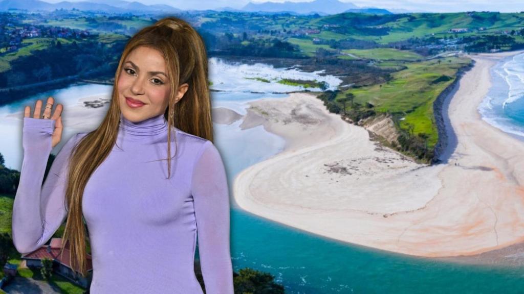 La cantante Shakira.