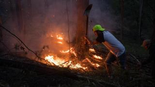 Varias personas intentan sofocar el fuego en el incendio forestal en el monte Galleiro, a 6 de abril de 2026, en Ribadetea, Ponteareas.