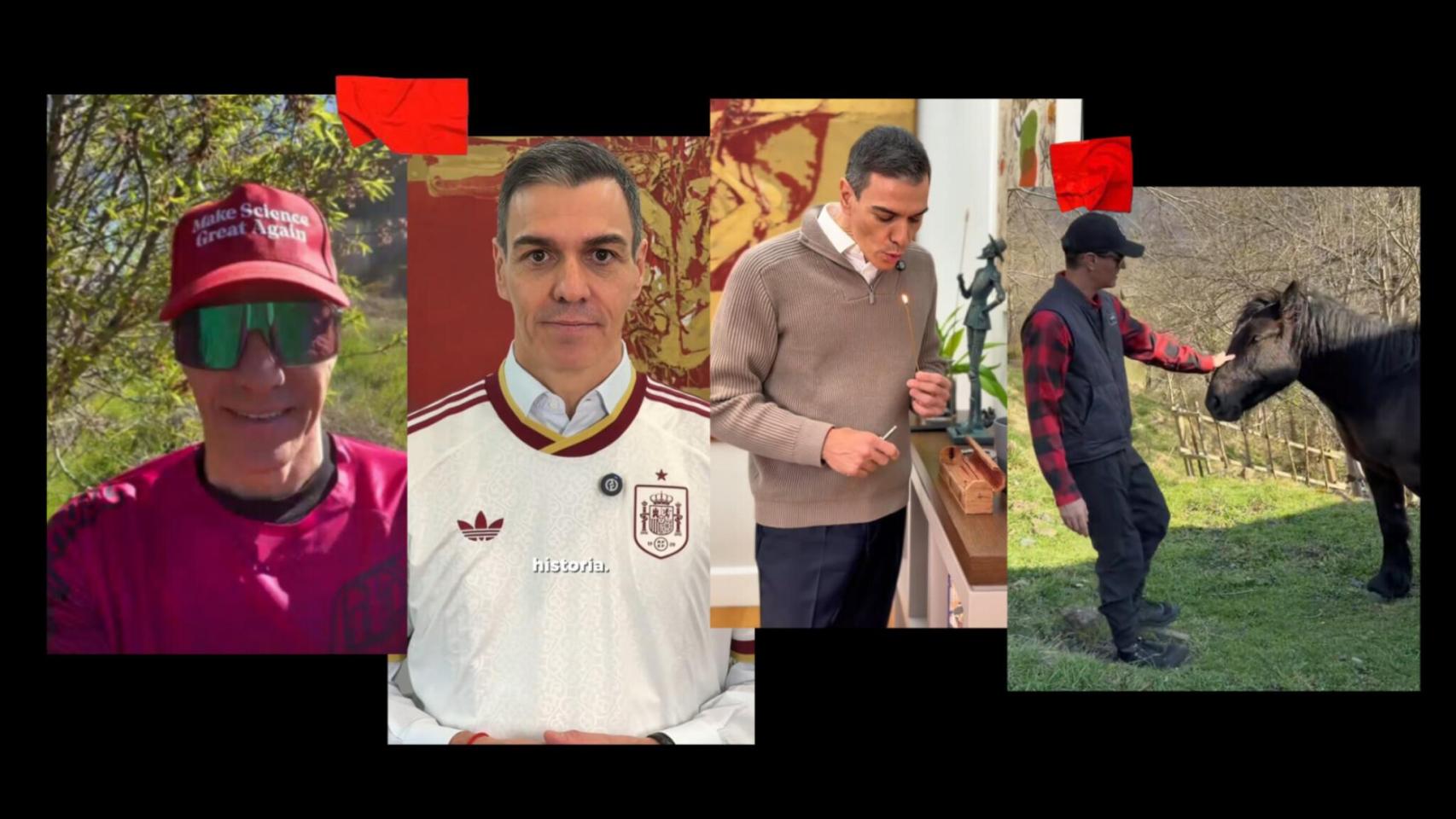 Cuatro imágenes extraídas de vídeos de la cuenta de Tiktok de Pedro Sánchez.