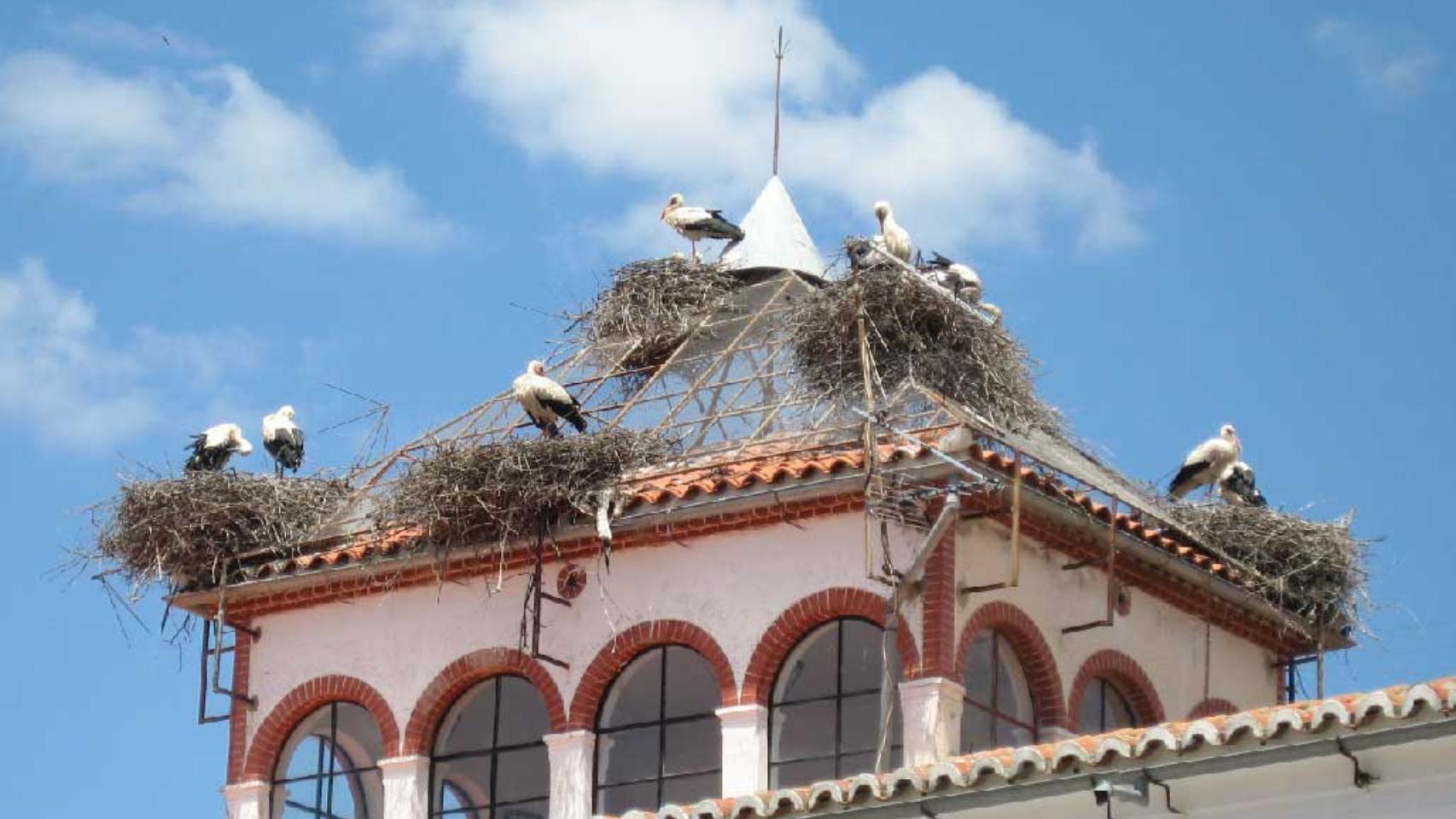 El casco histórico de esta ciudad ha pasado de 47 parejas en 2004 a ninguna en la actualidad.
