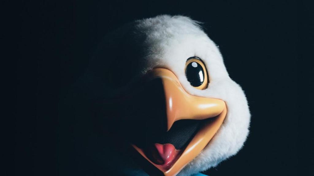 El Celta ficha a la gaviota Chiño.