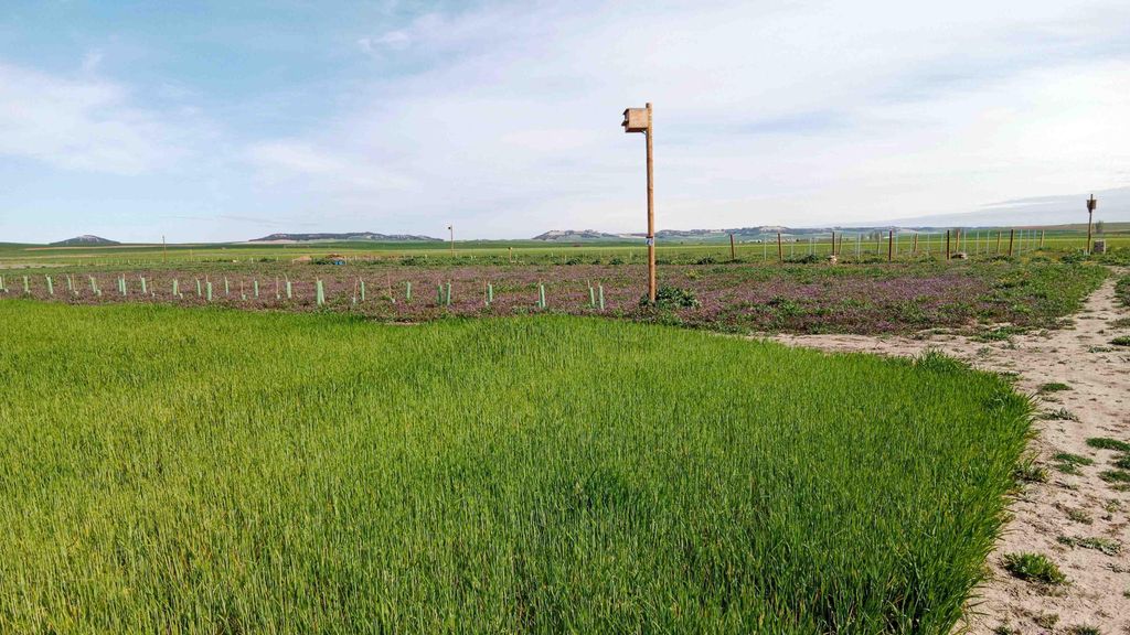 Zona habilitada en Villalar de los Comuneros