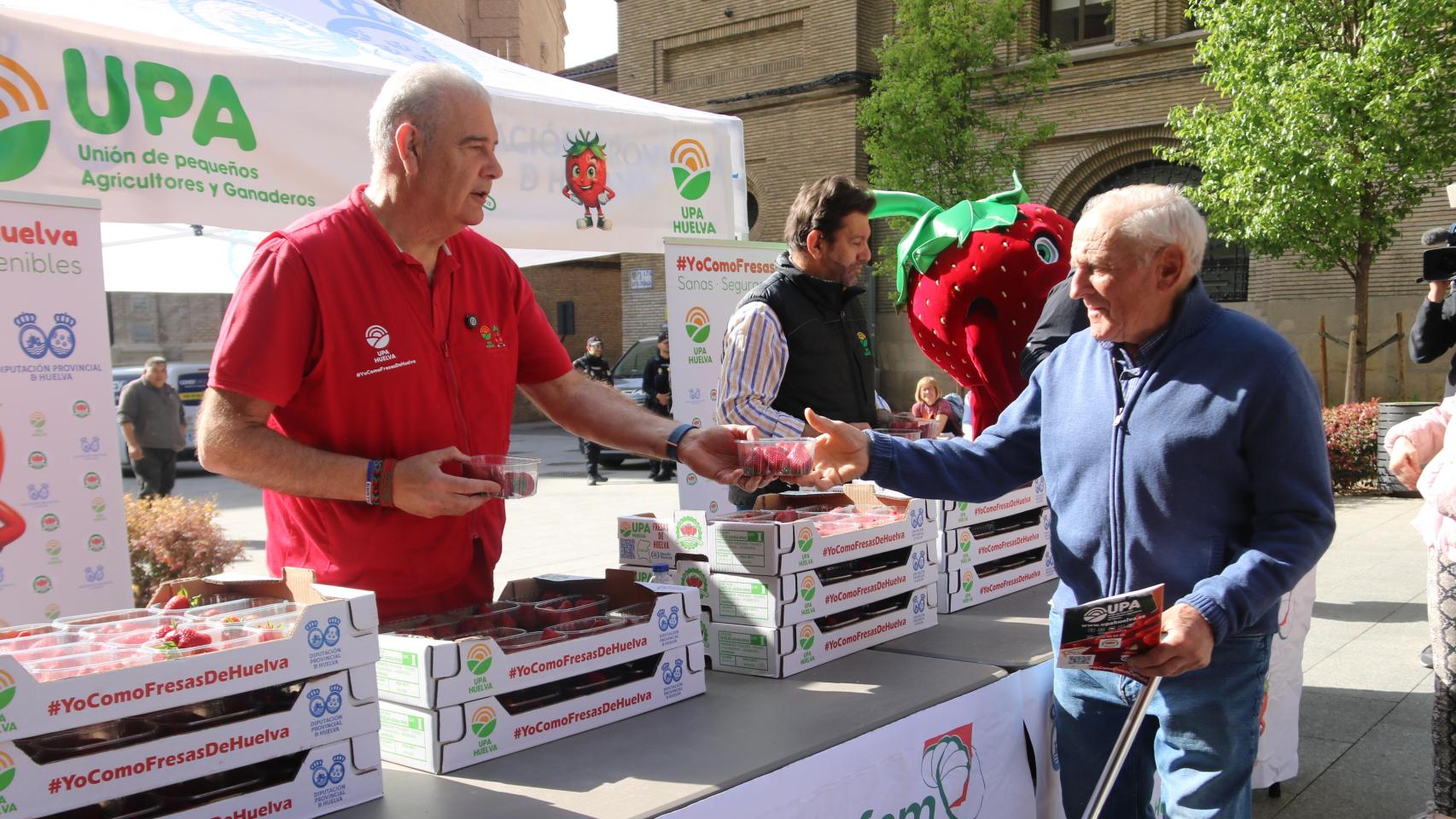 Reparto de fresas de Huelva en Zaragoza