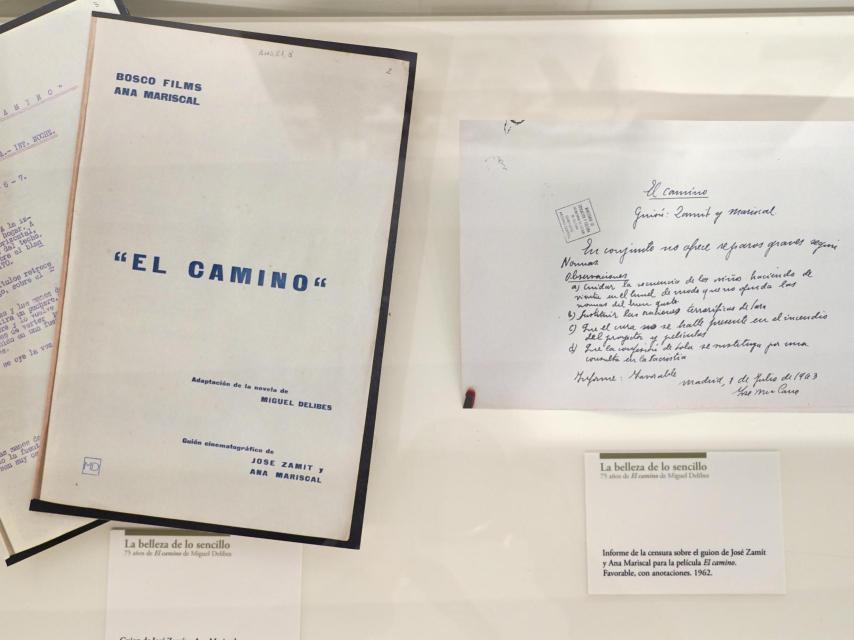 Exposición ‘La belleza de lo sencillo. 75 años de El camino de Miguel Delibes’