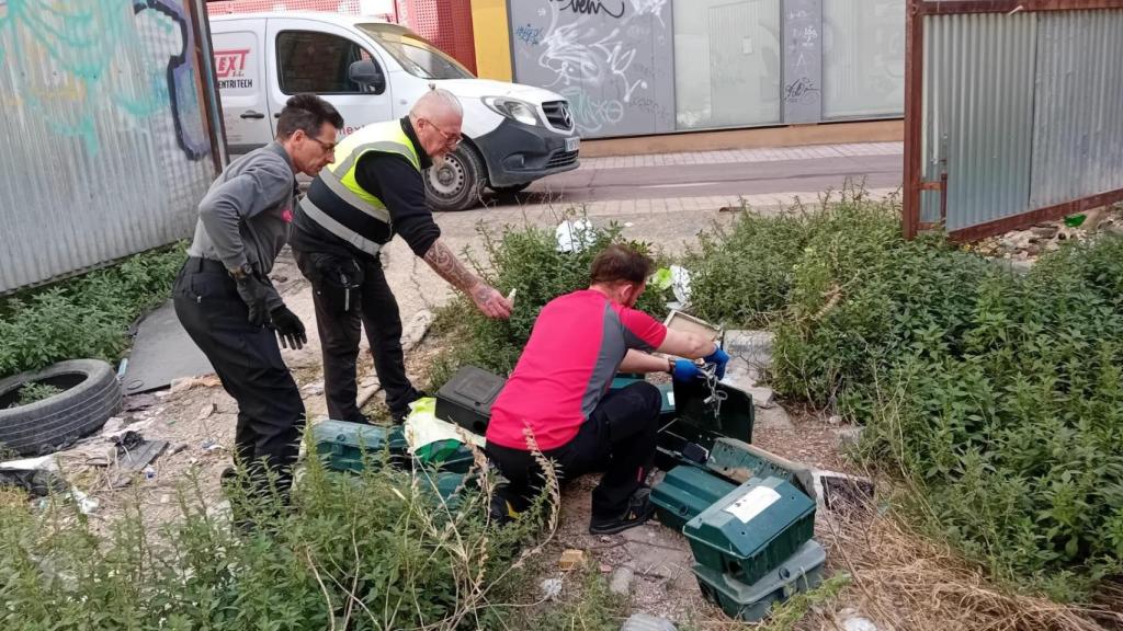 Los técnicos trabajando en el solar de la calle Las Armas.