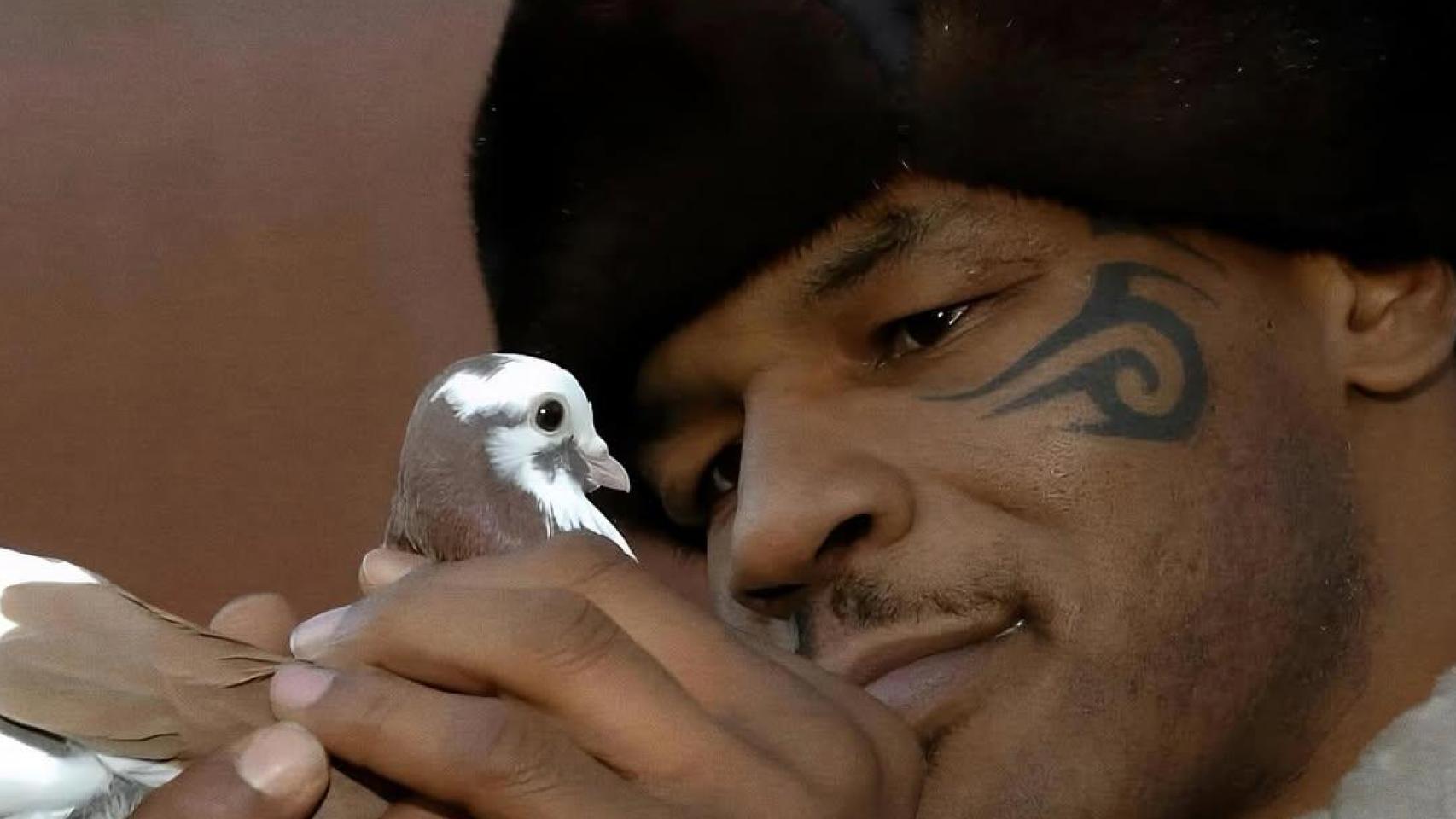 Mike Tyson con una paloma en las manos.