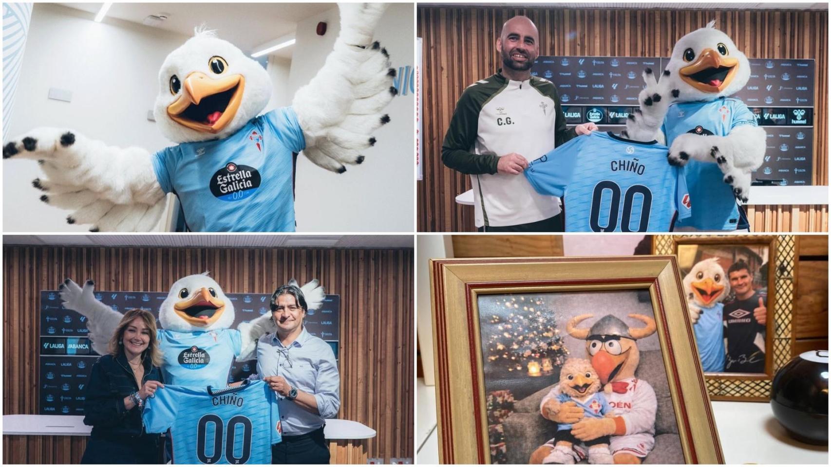 Presentación de Chiño.