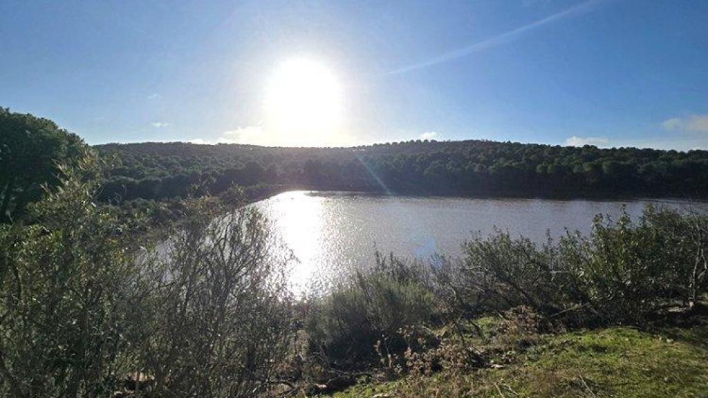 Imagen del pantano.