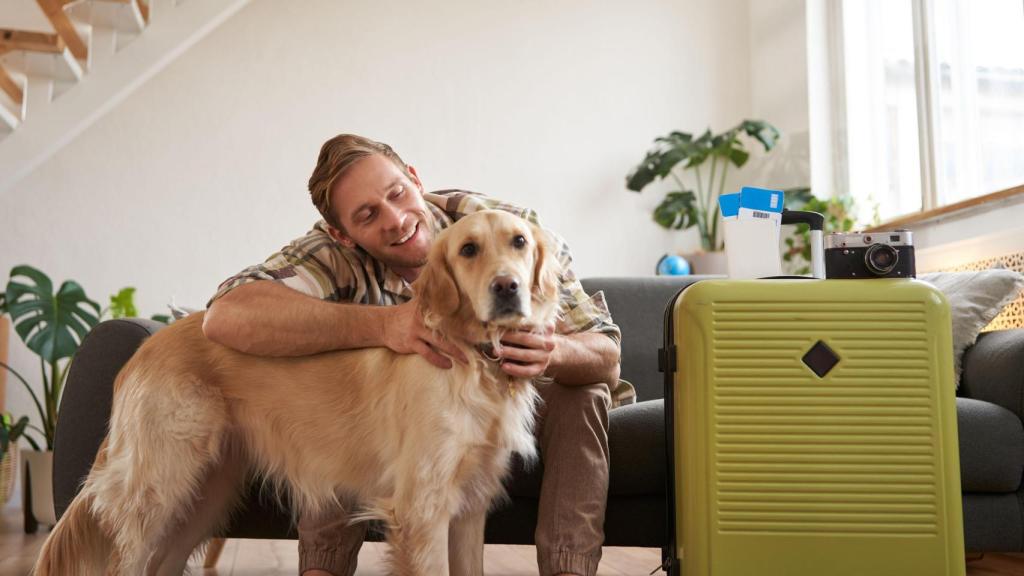 Viajar con mascotas