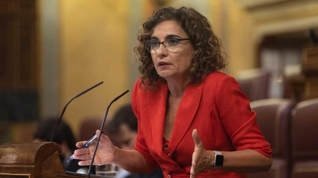 María Jesús Montero, Miembro del Congreso de los Diputados de España.