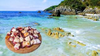 Un plato de pulpo á feira y la playa de Melide de fondo