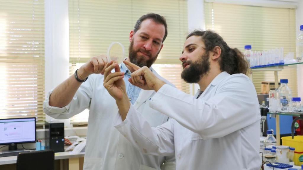 El grupo de Fisiovegen de la Universidad de León.