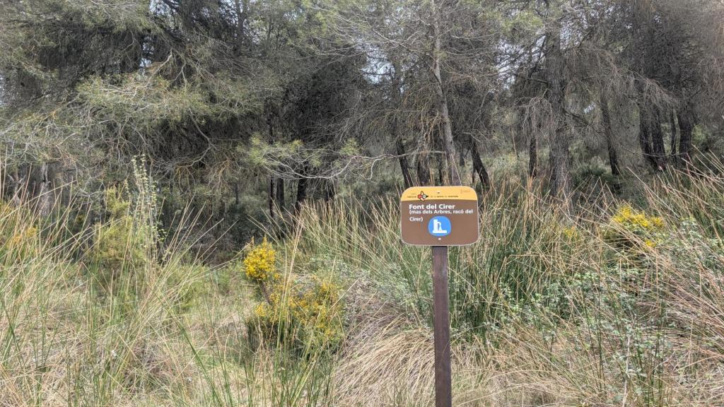 La Font del Cirer.