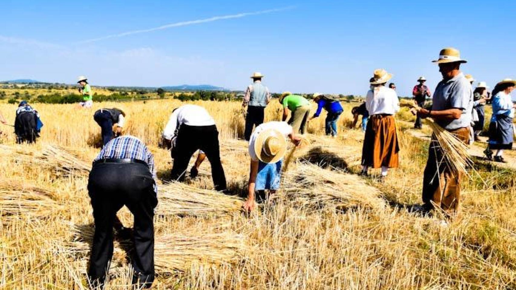 Hombres y mujeres rurales realizando labores de campo.